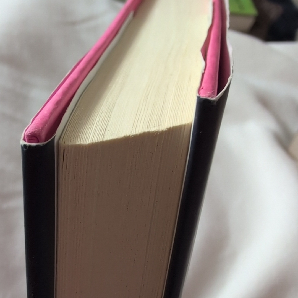 On the Rooftop by Margaret Wilkerson Sexton Hardback Reese's Book Club - Picture 5 of 5